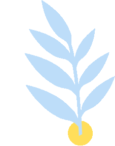 富硒黑茶什么时候喝