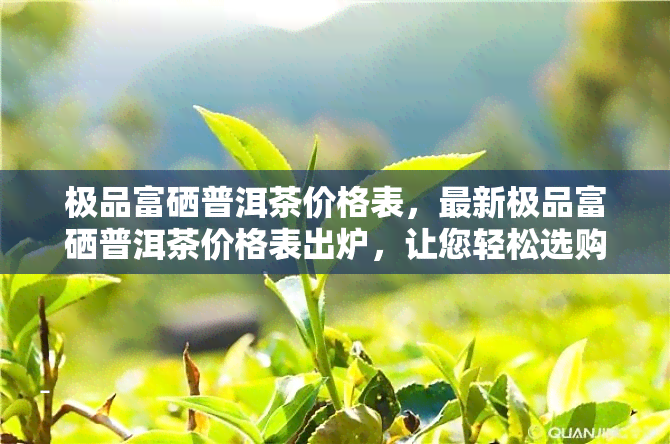 极品富硒普洱茶价格表，最新极品富硒普洱茶价格表出炉，让您轻松选购心仪好茶！