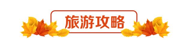 富硒茶含富硒多少克