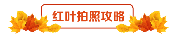 富硒茶含富硒多少克