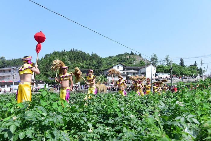 三岔镇第三届“土豆花儿开”文化旅游推介活(1221103)-20201211104651