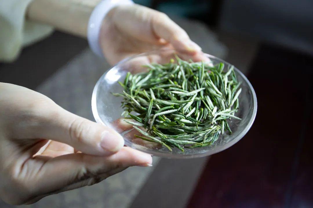 山西凤冈富锌富硒茶