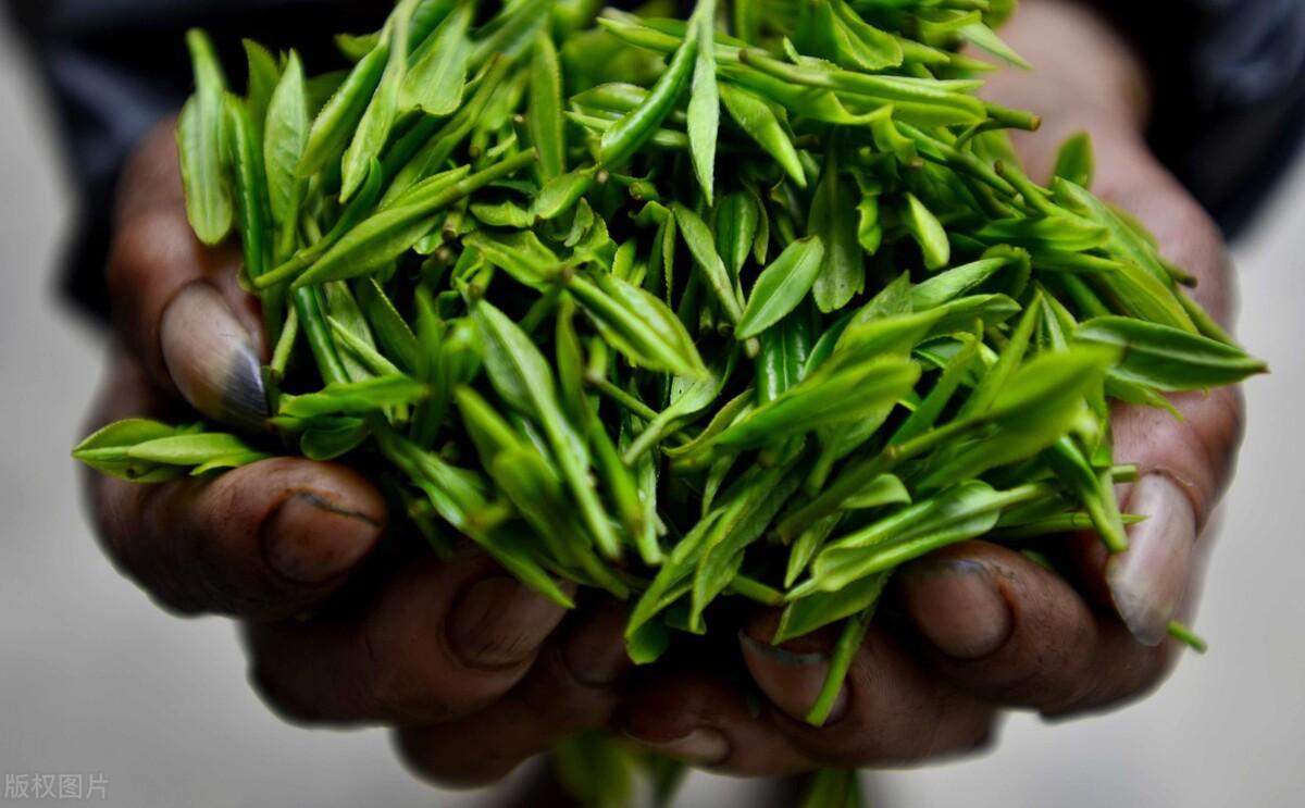 凤冈富锌富硒茶简介