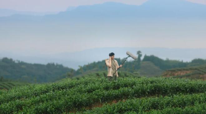 茶香醉人紫阳富硒茶