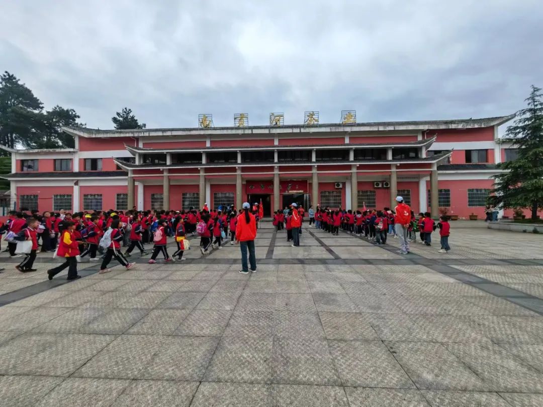 开阳富硒茶是什么茶