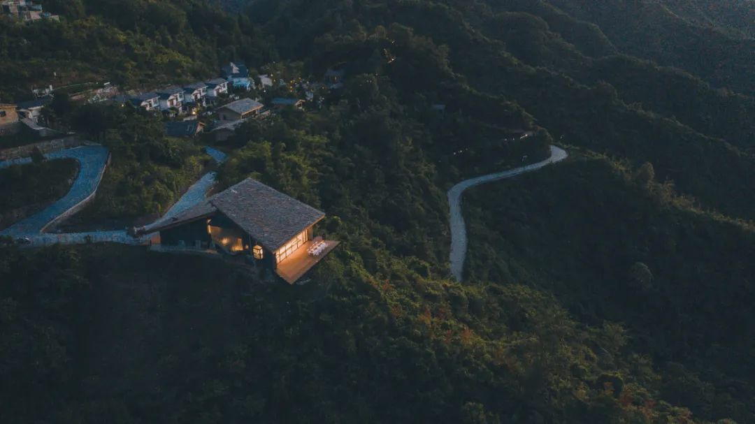 茶香醉人紫阳富硒茶