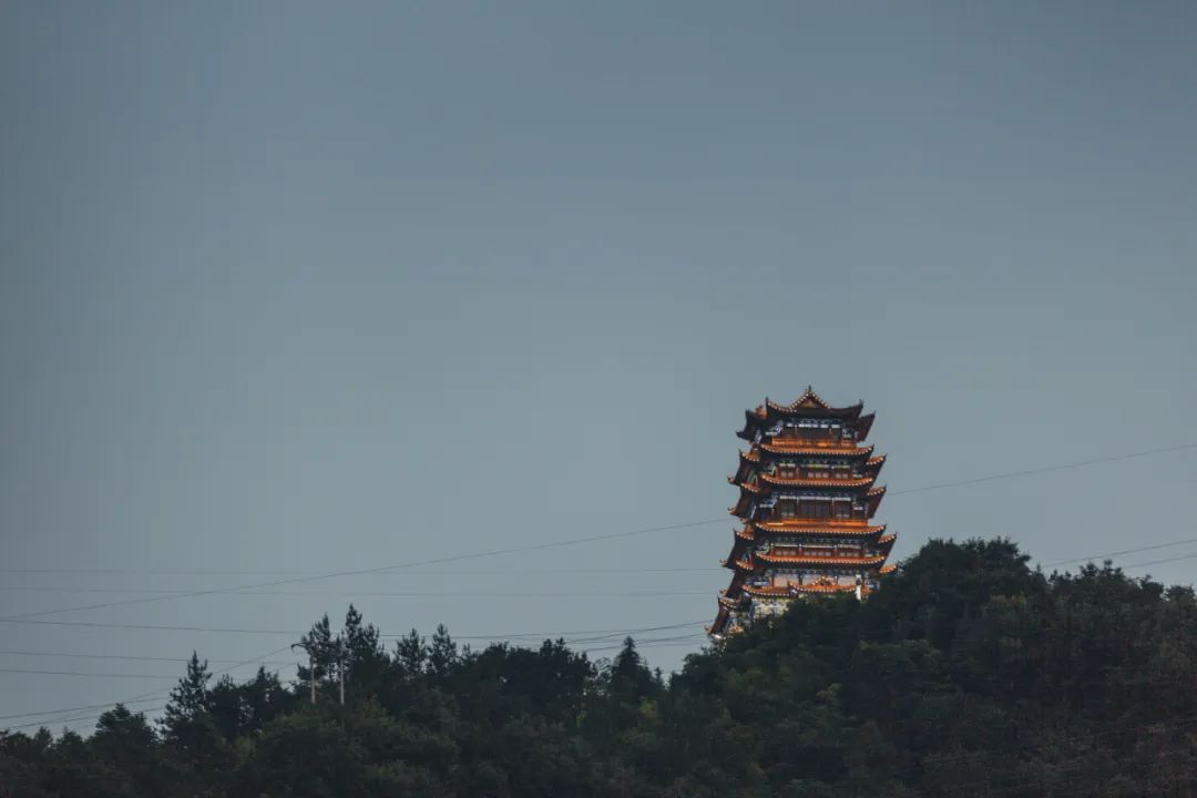 茶香醉人紫阳富硒茶