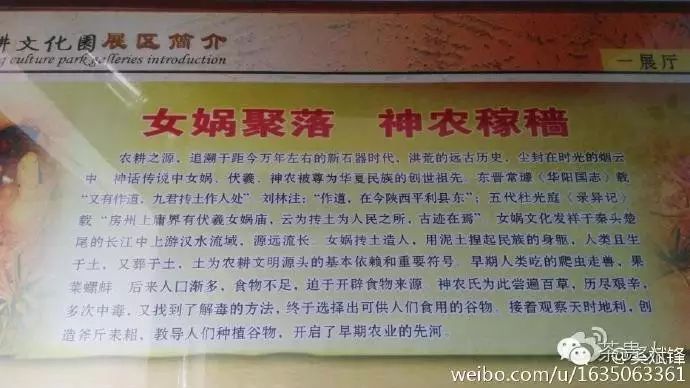 平利女娲茶是富硒茶