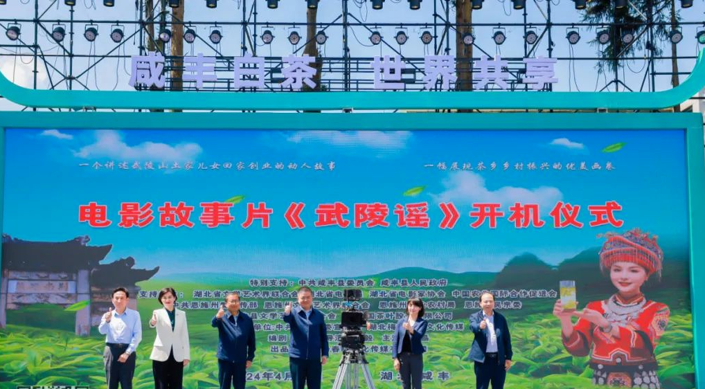 武汉恩施富硒茶企业