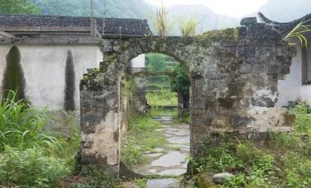 安徽石台高山富硒茶
