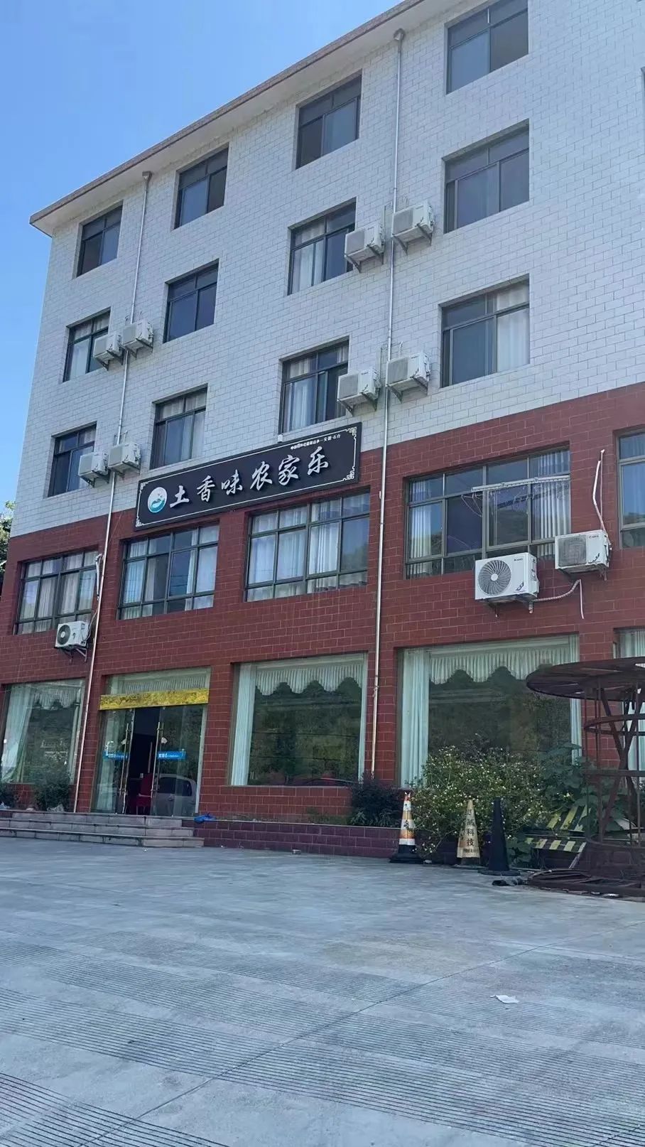 安徽石台高山富硒茶