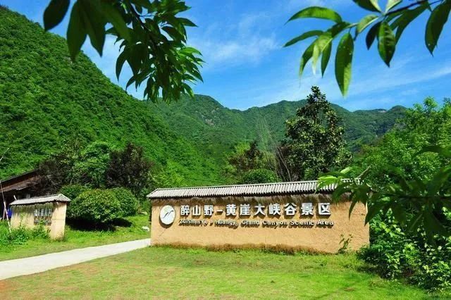 安徽石台高山富硒茶