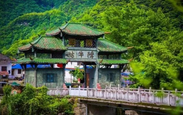 安徽石台高山富硒茶