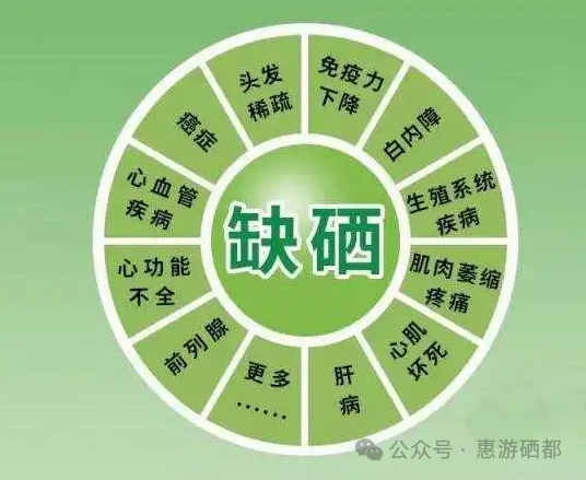 湖北特产恩施富硒茶