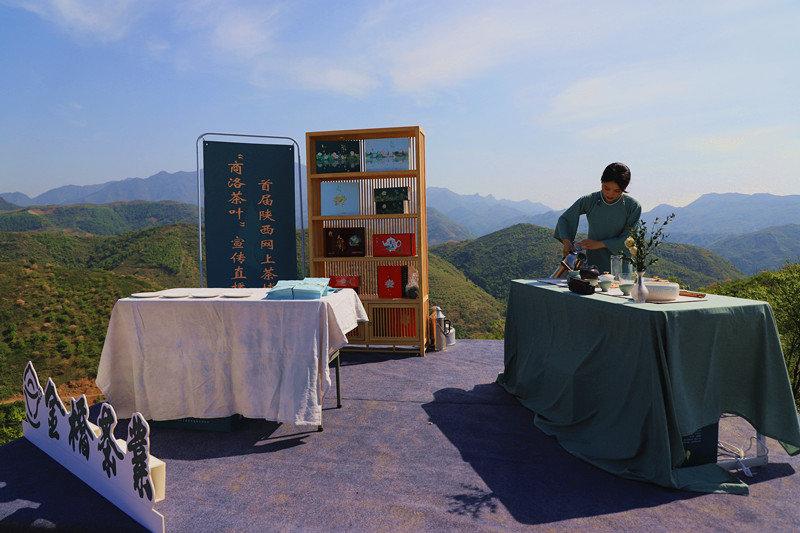 汉中哪有紫阳富硒茶