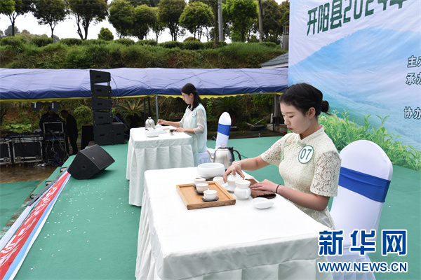 图为4月12日拍摄的“开阳富硒茶”冲泡赛。新华网发（陈纪滔 摄）