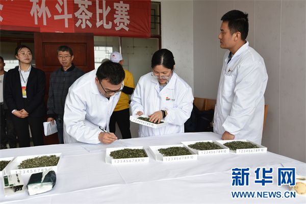 图为4月12日拍摄的“开阳富硒茶”春季斗茶赛。新华网发（陈纪滔 摄）