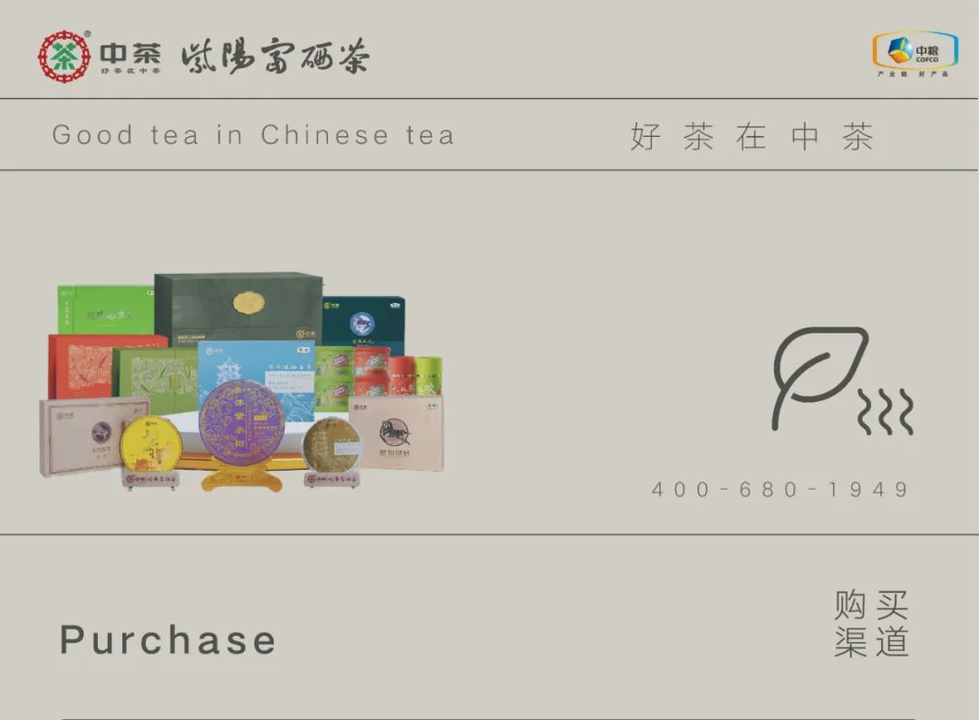 紫阳富硒茶招商热线