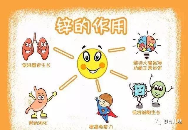补锌的食物