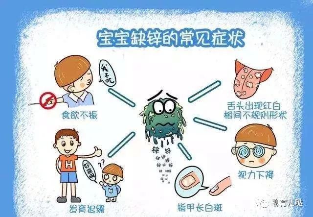 补锌的食物