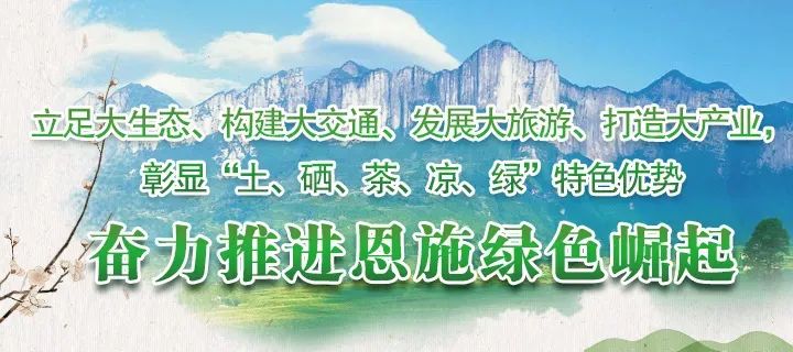湖北富硒茶玉露工厂