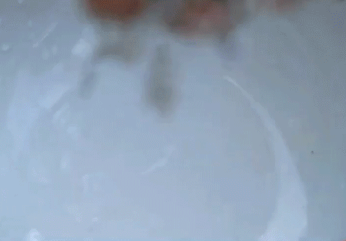 富硒黄金茶价格多少