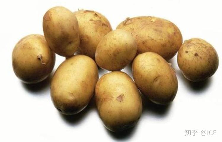 微量元素的食物有哪些(食物微量元素)-硒宝网