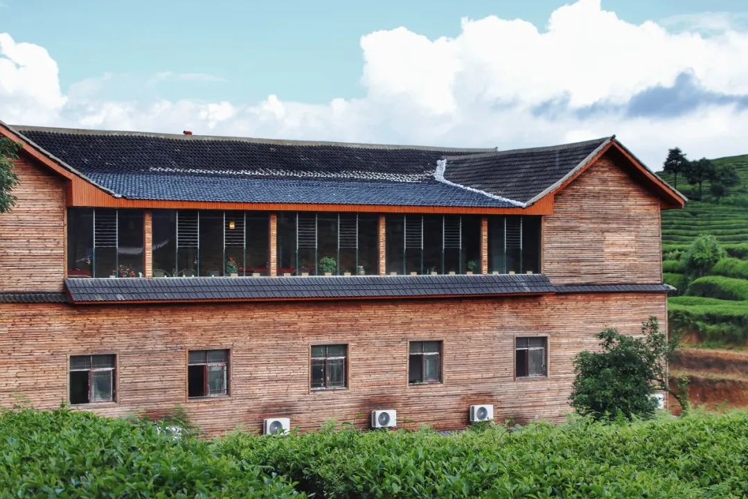 开阳富硒茶贵阳购买(贵阳茶购买富硒开阳茶多少钱)-硒宝网