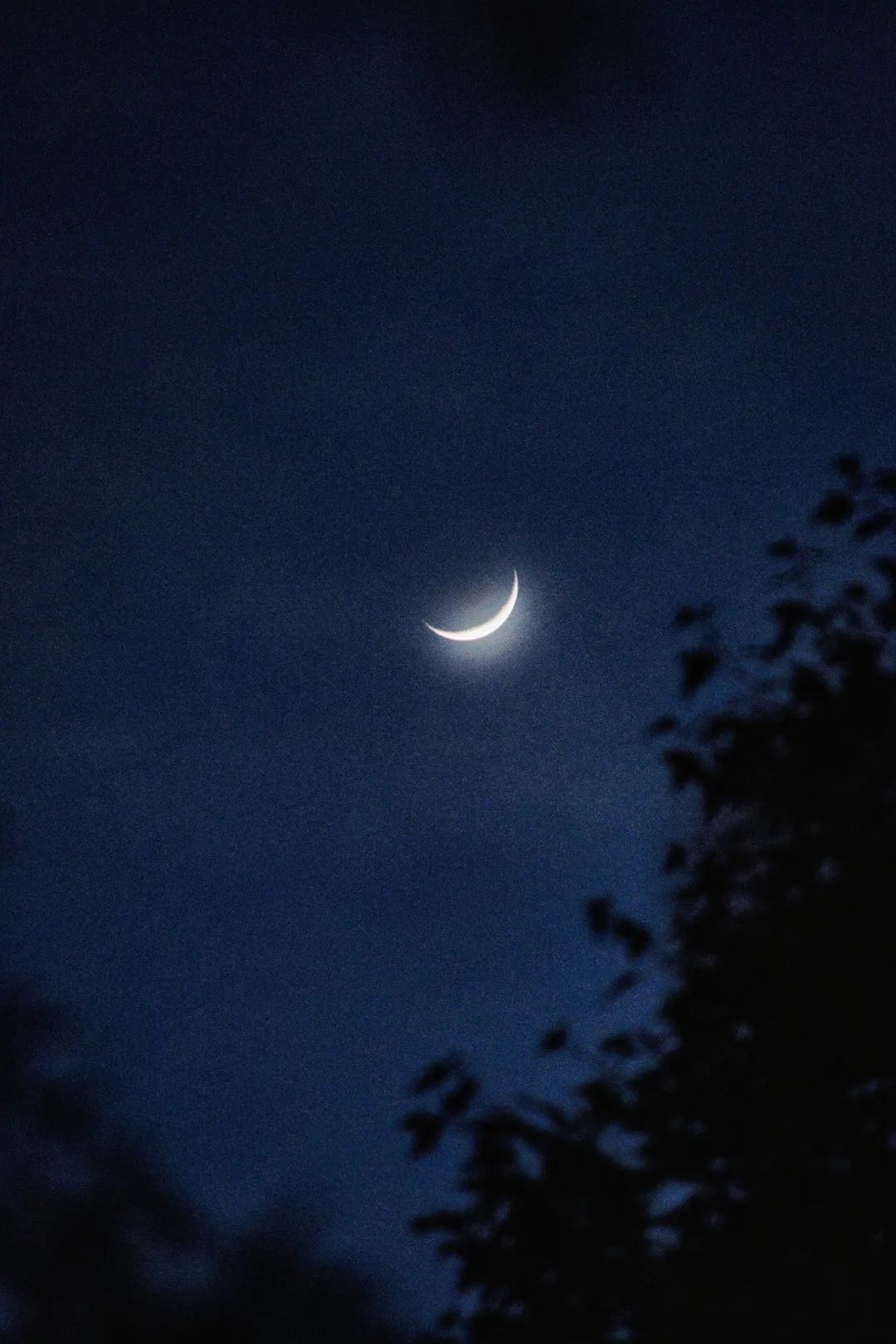 开阳富硒茶贵阳购买(贵阳茶购买富硒开阳茶多少钱)-硒宝网