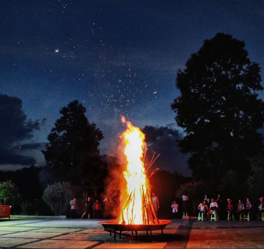 开阳富硒茶贵阳购买(贵阳茶购买富硒开阳茶多少钱)-硒宝网
