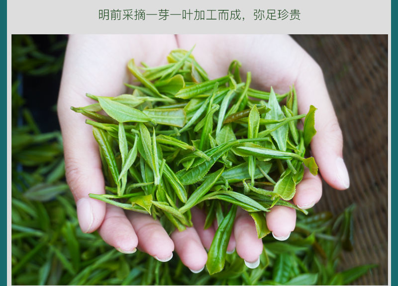 陕西紫阳富硒茶 ?。ㄗ涎舾晃枭履咸夭鄹瘢?硒宝网