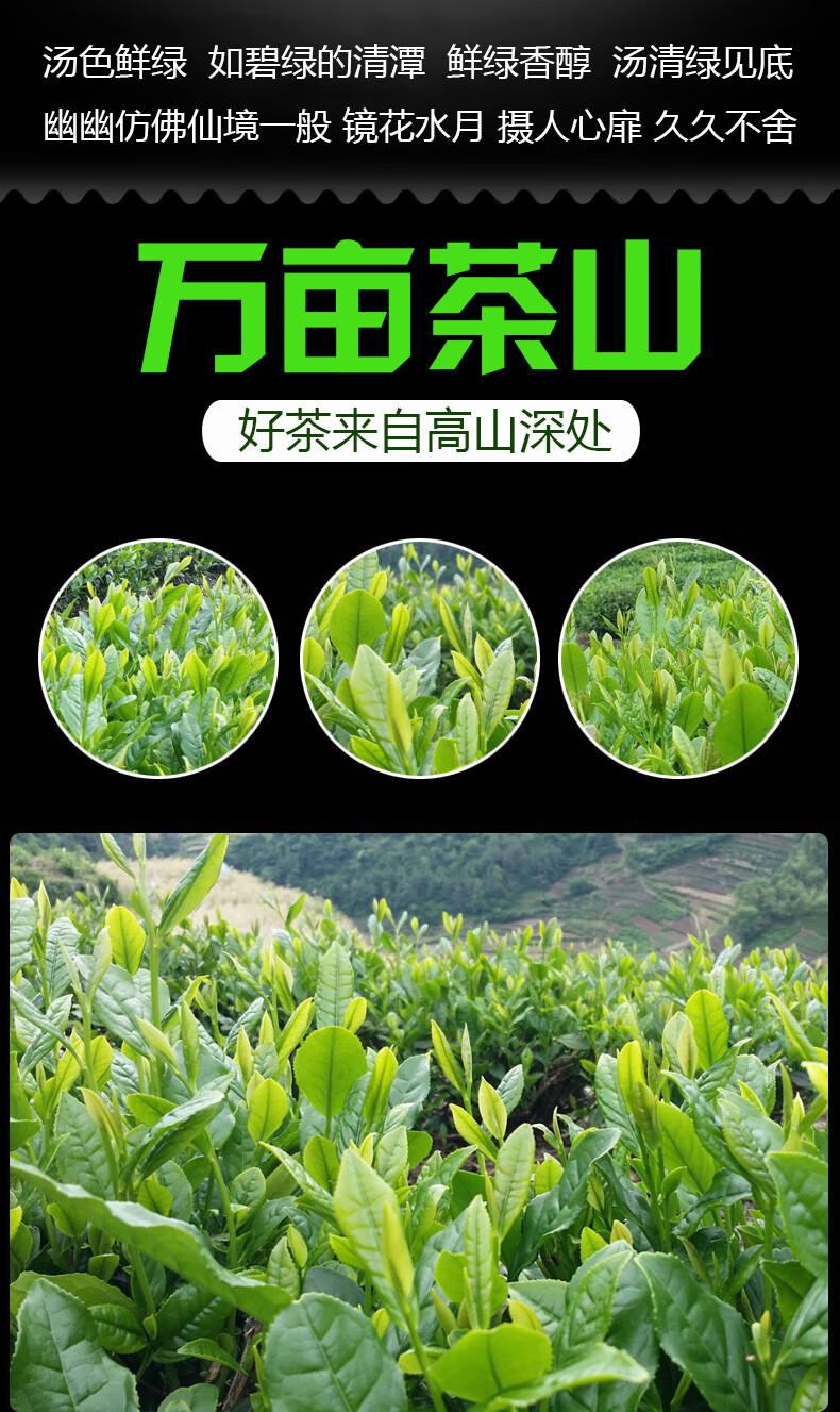 陕西紫阳富硒茶 ?。ㄗ涎舾晃枭履咸夭鄹瘢?硒宝网