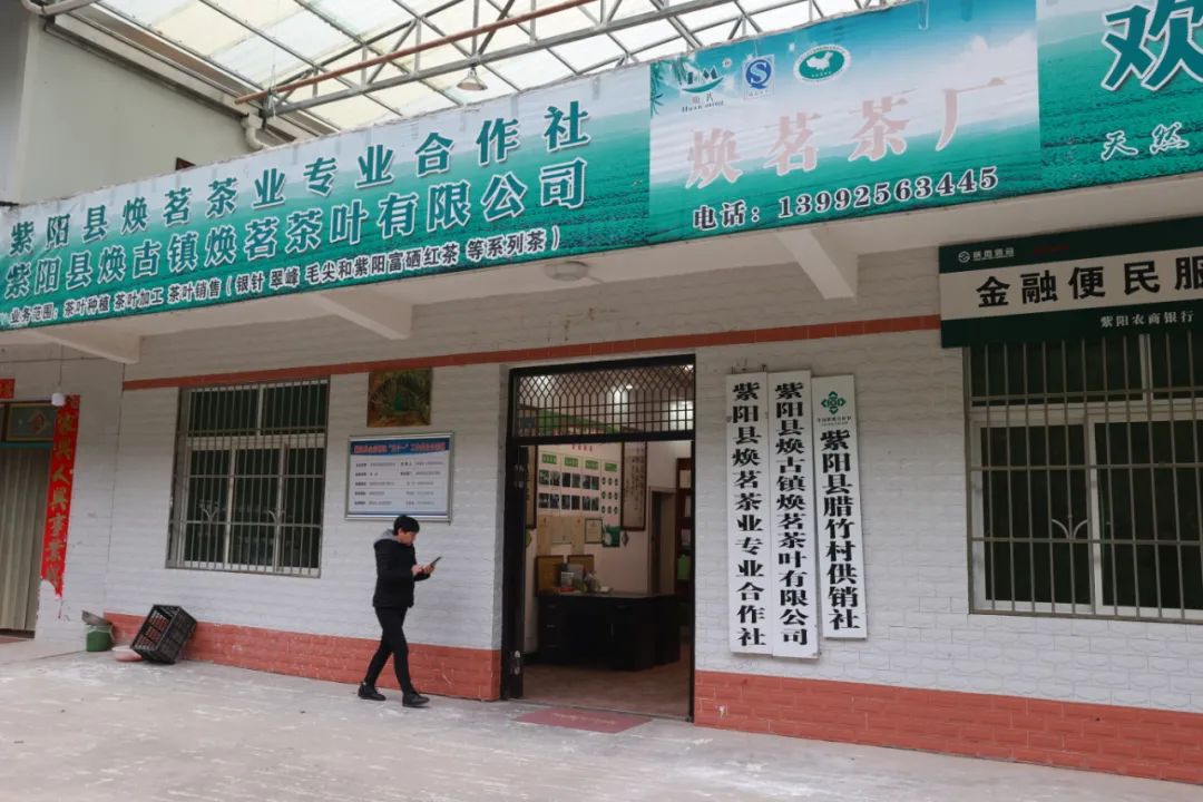 紫阳富硒茶qs认证