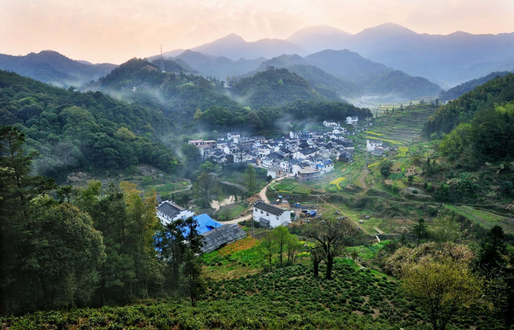 石台天方富硒茶公司