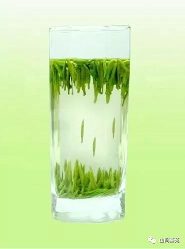 陕西紫阳富硒茶炒青