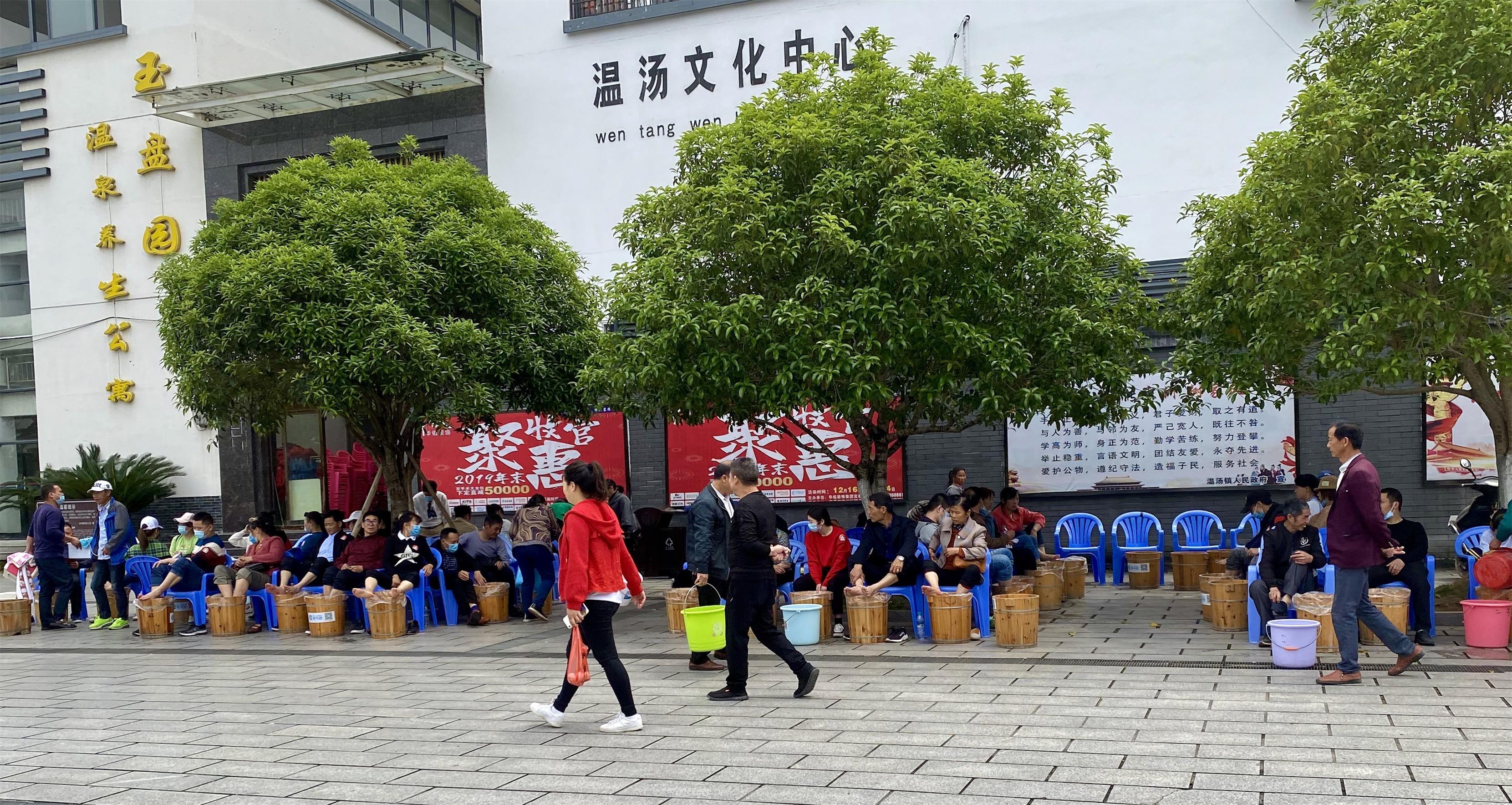 青龙春 富硒茶价格
