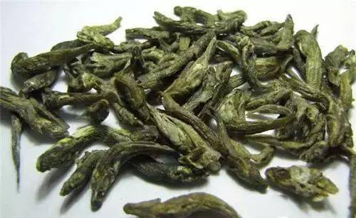 紫阳富硒茶采摘了吗