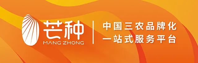 紫阳富硒茶采摘季节