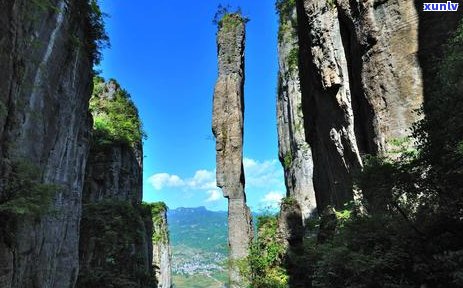 恩富硒茶是不是绿茶，揭秘恩富硒茶：它是绿茶吗？