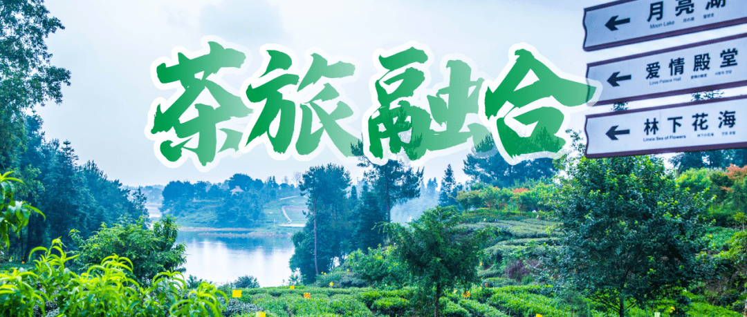 茶道印象恩施富硒茶