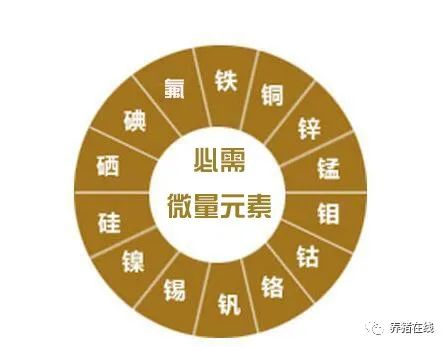 微量元素都有什么