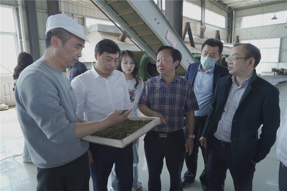平昌富硒茶发展概况