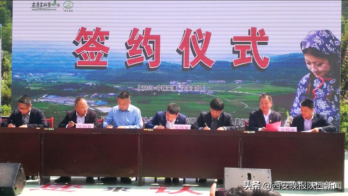 安康富硒茶扶贫活动(安康富硒资源普查)-硒宝网
