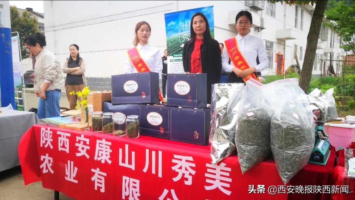 安康富硒茶扶贫活动(安康富硒资源普查)-硒宝网