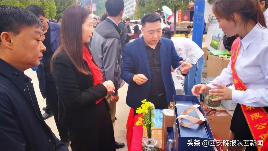 安康富硒茶扶贫活动(安康富硒资源普查)-硒宝网