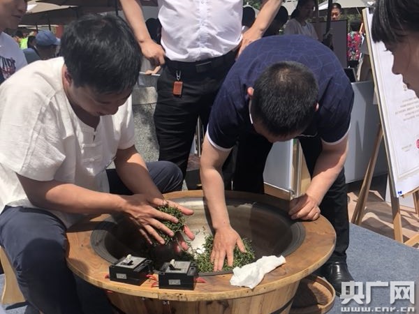 陕西紫阳富硒茶视频