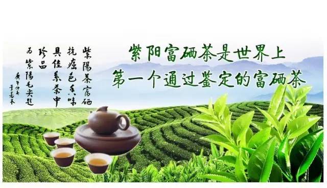 关于紫阳富硒茶介绍