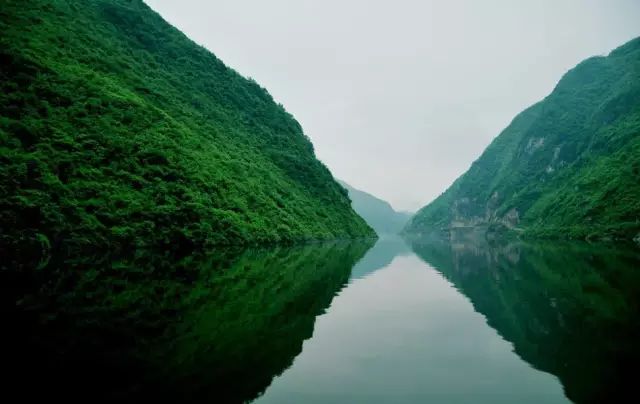 关于紫阳富硒茶介绍