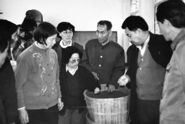 关于紫阳富硒茶介绍
