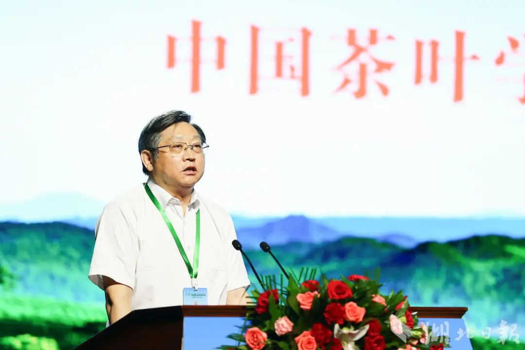 恩施富硒茶营销问题